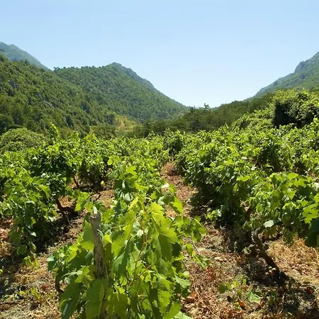 Apartamento In Karbuni With Sea View, Terrace, Air Conditioning, W-lan 3609-4 *