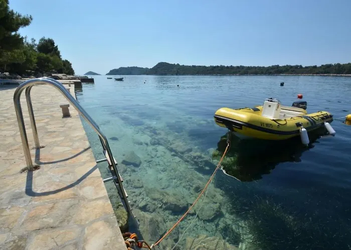 In Karbuni With Sea View, Terrace, Air Conditioning, W-lan 3609-4 아파트 Blato (Korcula)