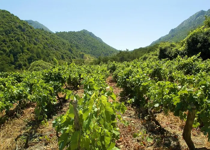 아파트 In Karbuni With Sea View, Terrace, Air Conditioning, W-lan 3609-4 *